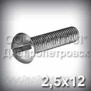 Гвинт М2,5х12 ГОСТ 17473-80 (DIN 86) оцинкований із напівкруглою головкою, фото 1