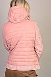 Жіночі демісезонні куртки оптом Monte Vero (2631) лот 5шт по 25Є, фото 2