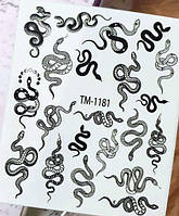 Слайдер дизайн TM Best — 1181 — Змії