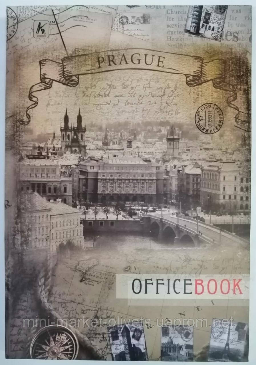 Книга канцелярская твердый переплет А4 192 листа клетка - фото 4 - id-p469389782