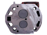 R195 | R192 Форсунка в зборі на мототрактор L = 185mm D = 21mm