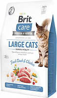 Сухой корм Brit Care Cat GF Large cats Power & Vitality для крупных пород (утка/курица)