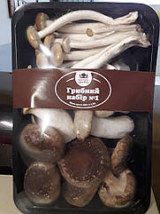 Грибний набір No1 в пакованні 450 г (Свіжі гриби)