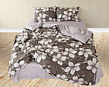 ТМ TAG Комплект постільної білизни з компаньйоном S482, фото 3