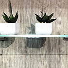 Пенал Typ B+C GUSTAVO ASM MEBLE дуб веллінгтон/білий глянець, фото 5