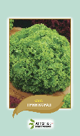 Насіння салат Грін Корал 0,5 г Агропак плюс