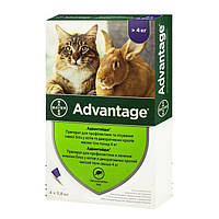 Краплі Bayer «Advantage» (Адвантікс®) від 4 до 8 кг, 4 піпетки (від зовнішніх паразитів) для кішок і кроликів