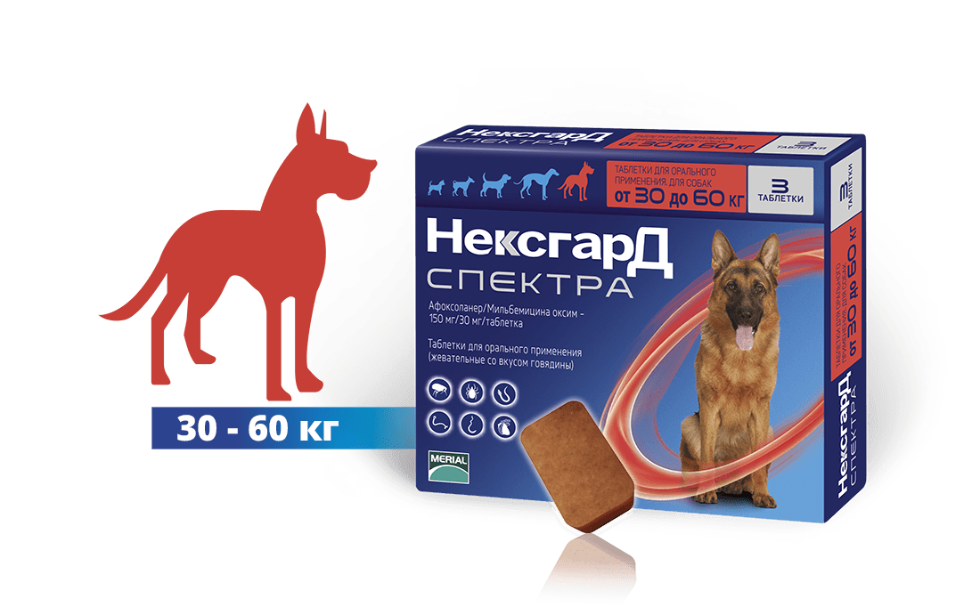 Несгард Спектра Купить В Самаре