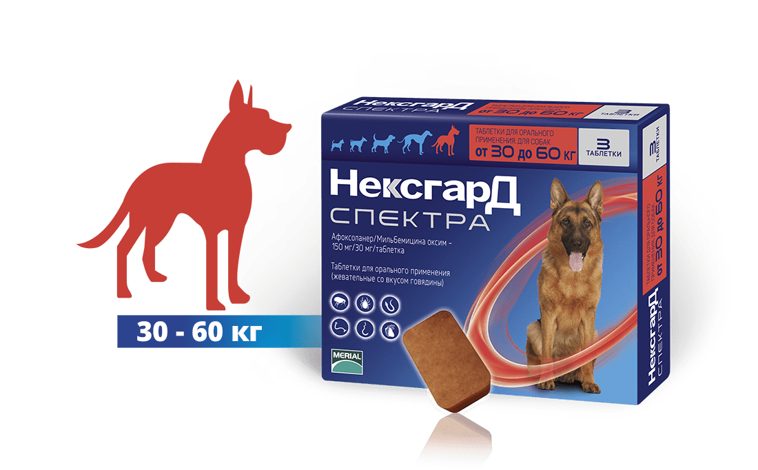 NEXGARD для собак 30-60. НЕКСГАРД спектра для собак 30-60 кг. НЕКСГАРД спектра XL для собак от 30 до 60. НЕКСГАРД для собак 30.