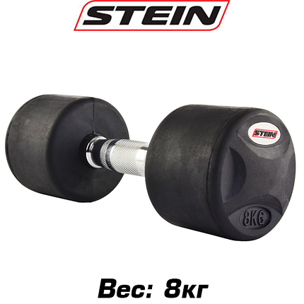 Гантель нерозбірна сталева гантель професійна гумова з хромованою ручкою Stein 8 кг, фото 1