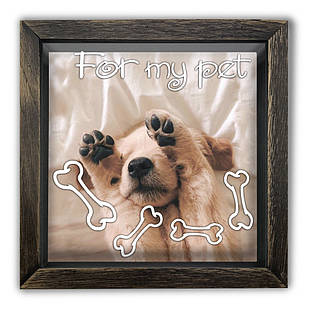 Дерев'яна копілка (скарбничка) 20х20 см For my pet хркп0004ква Тур-Колекшн