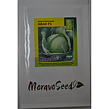 АВАК F1 — насіння капусти, Moravoseed, фото 2