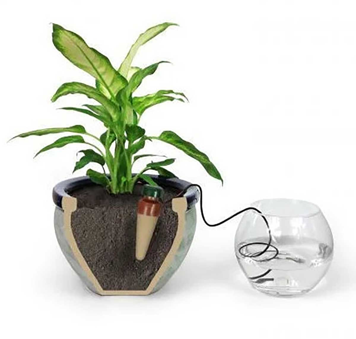 Капельный полив комнатных растений Wi Aqua аква конус. Автополив для комнатных растений - фото 2 - id-p1377831650