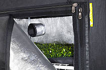 Мінітеплиця для вирощування рослин Probox Propagator 60х40х200см Garden HighPro, фото 5