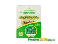 Набір для вирощування мікрозелені "Домашній фермер" Базилік