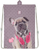 Сумка для взуття Kite Studio Pets SP20-600M, фото 2