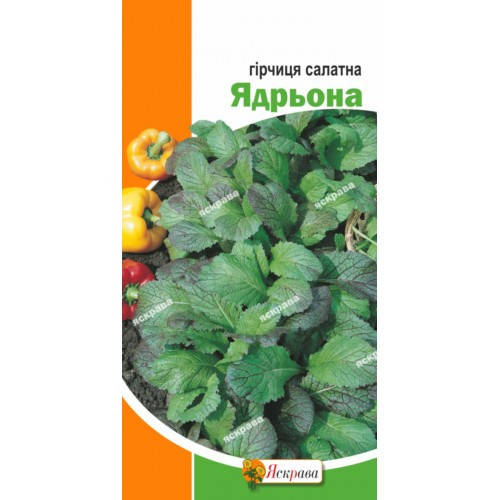 

Горчица салатная Ядрена