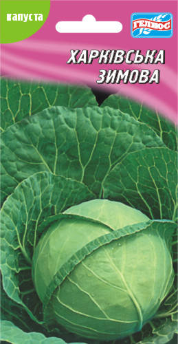

Семена капусты белокачанной Харьковская зимння 150 шт.