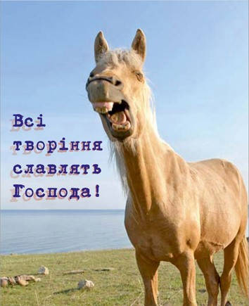 

Міні-листівка: Всі творіння славлять Господа! #21
