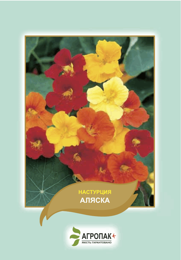 

Семена цветов Настурция Аляска Агропак плюс, Разные цвета