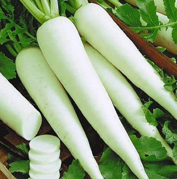 

Семена дайкона Миновасе 8г ТМ ВЕЛЕС