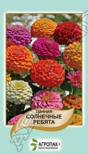 

Семена Цинния (майоры) Солнечные Ребята Смесь 0,5 грамма Legutko Агропак, Разные цвета