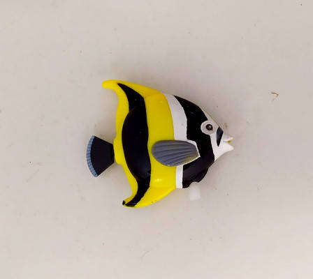 

Водоплавающая рыбка Скалярия заводная, см. описание