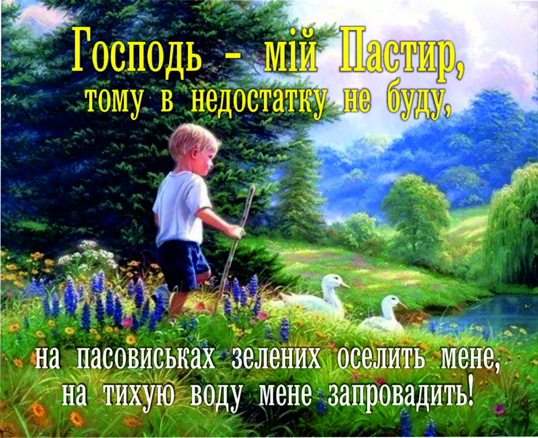 

Міні-листівка: Псалом 22 #185