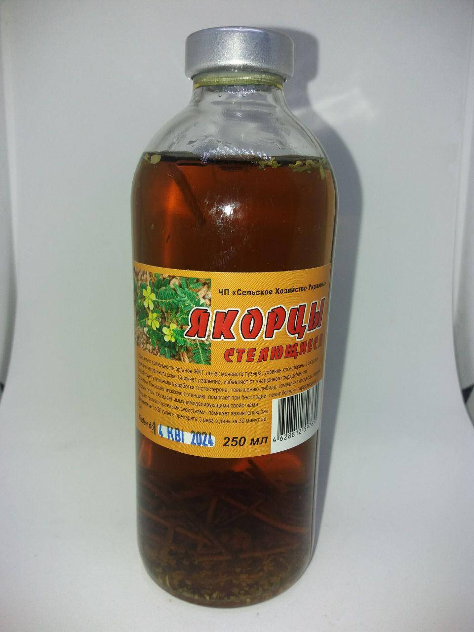 

Настойка Якорцы (козацкая трава,усиление мужской привлекательности)