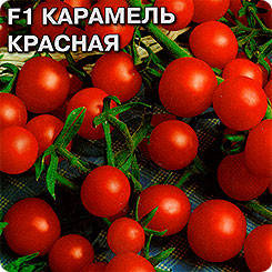 

Семена Томат черри Карамель красная F1, 10 семян Riva
