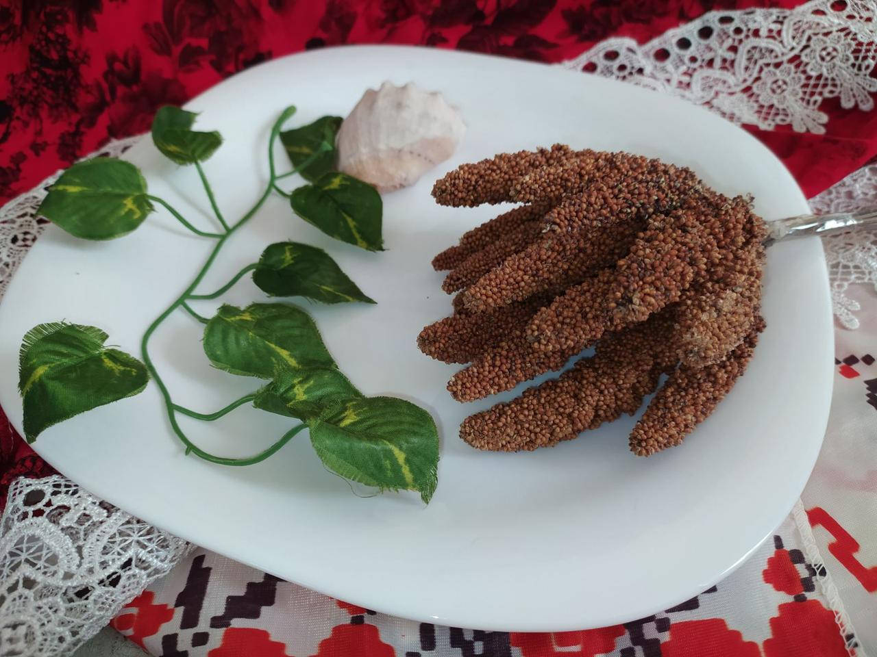 

Буро-красная чумиза. Лакомство чумиза. Полезное лакомство для попугаев.