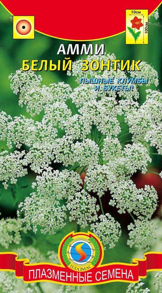 

Амми Белый зонтик 0,3 г (Плазменные семена)