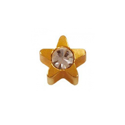 

Серьги гвоздики Studex/Nina R501-4