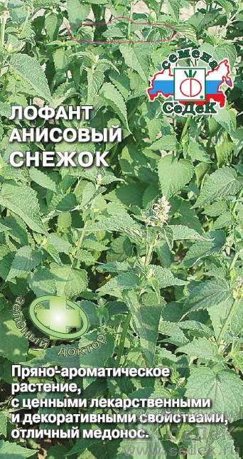 

Семена Лофант анисовый Снежок 0,1 грамма Седек