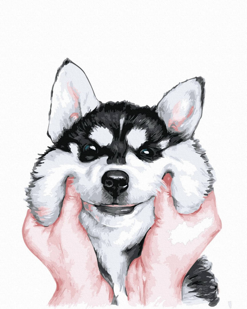 

Картина по номерам животные собака 40*50 Пухлые щечки Хаски Картины по номерам Брашми