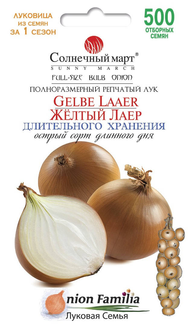 

Лук Желтый Лаер, 500шт.