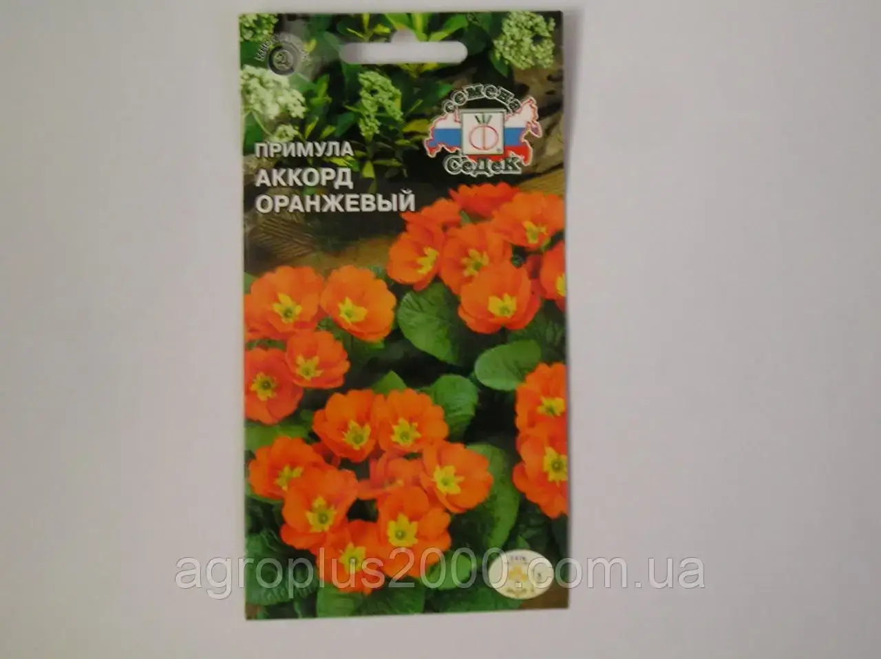 

Семена Примула бесстебельная Аккорд оранжевый 5 семян Седек