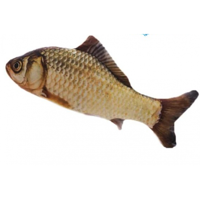 

Мягкая игрушка рыба Карась 19см для кошек кота с кошачьей мятой