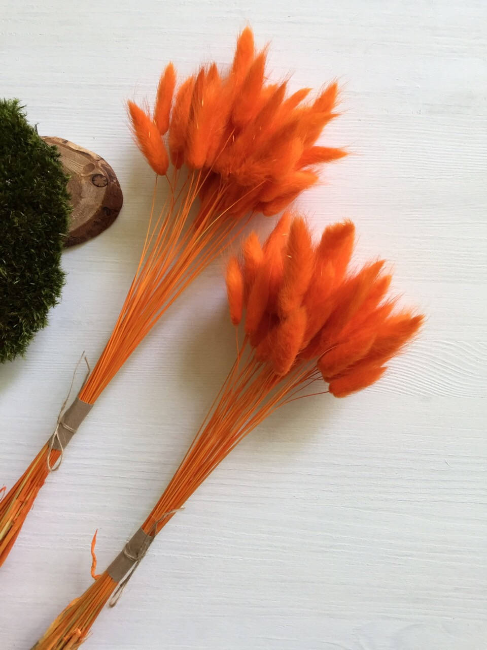 

Лагурус оранжевый ( 50 шт )