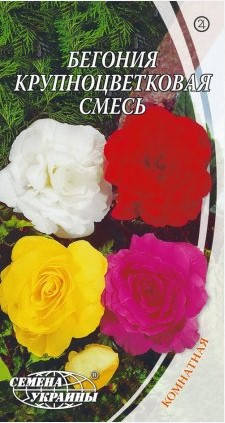 

Бегонія великоквіткова суміш 10шт (Семена Украины)