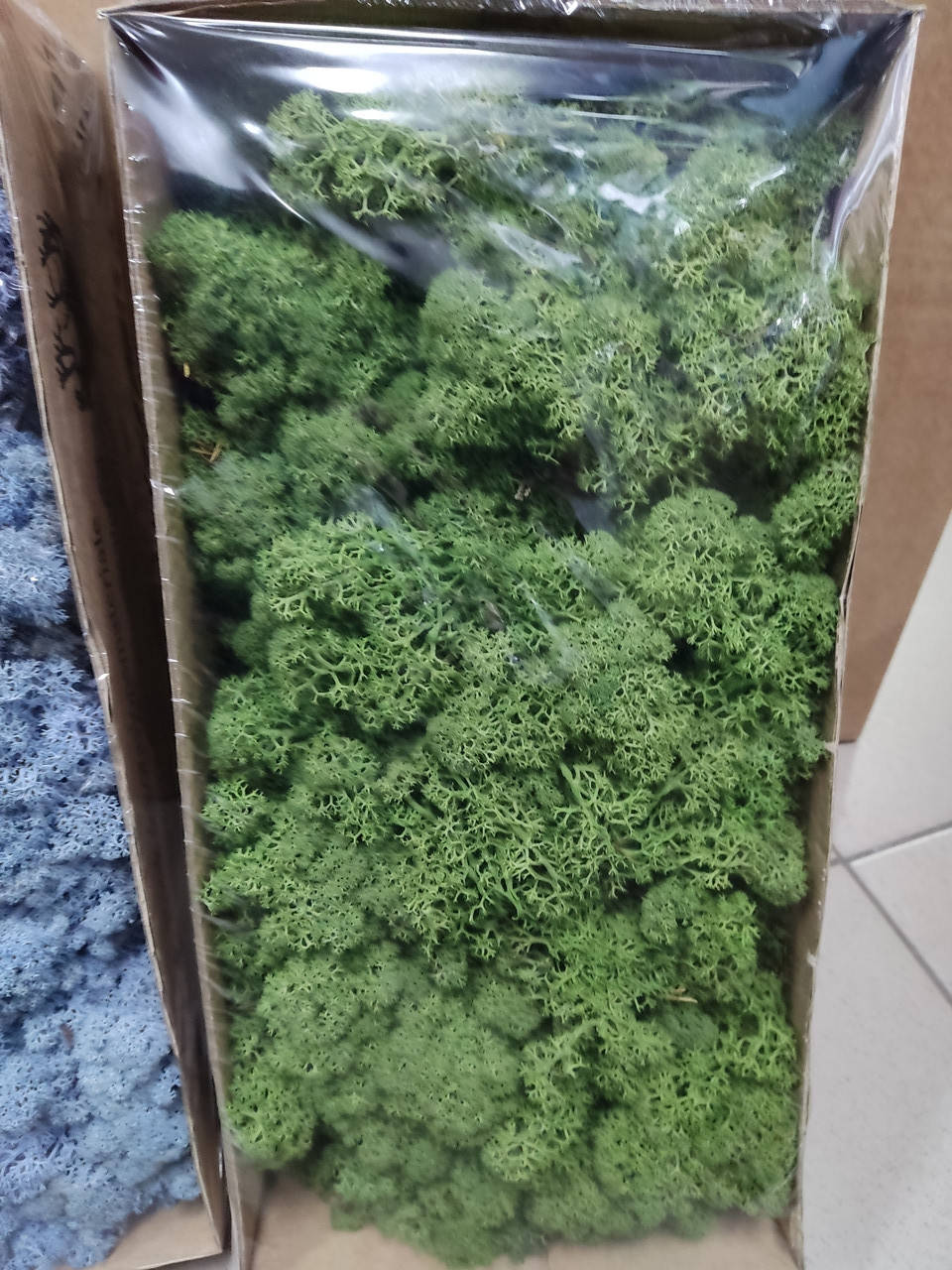

Стабилизированный мох ягель для декора норвегия grass mosgroen № 54