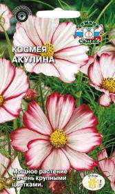 

Семена Космея дваждыперистая Акулина 0,5 грамма Седек, Белый