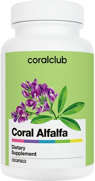 

Корал люцерна alfalfa