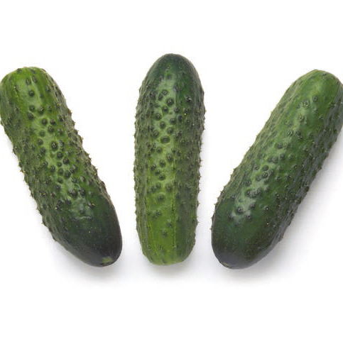 

СОНАТА F1 - семена огурца, Rijk Zwaan 50 грамм