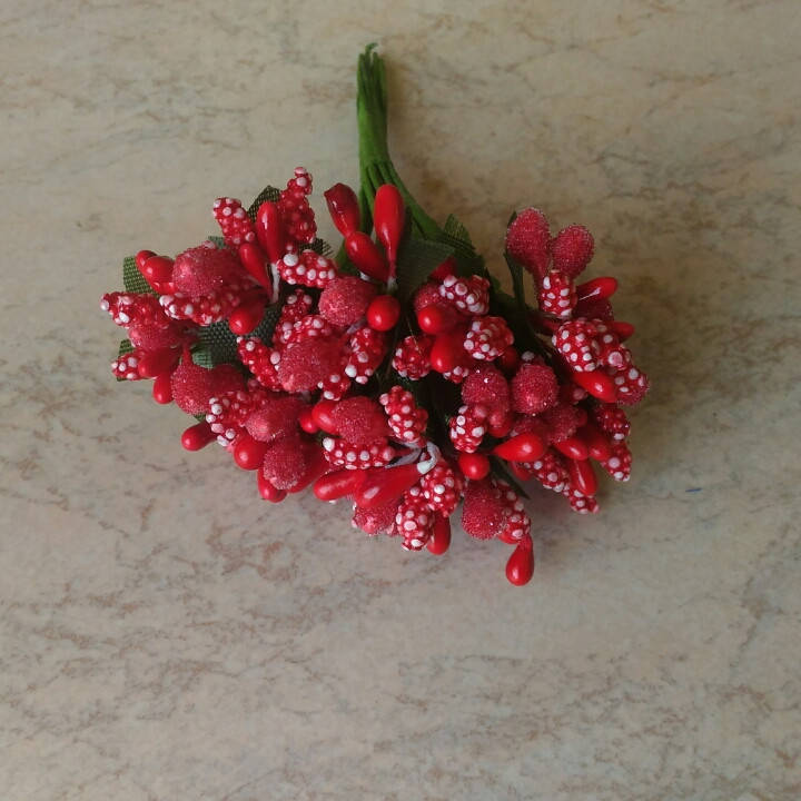 

Добавка цветочная комбинированная кукурузка красная