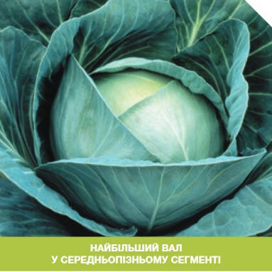 

Профессор F1 10 шт семена капусты Syngenta Голландия