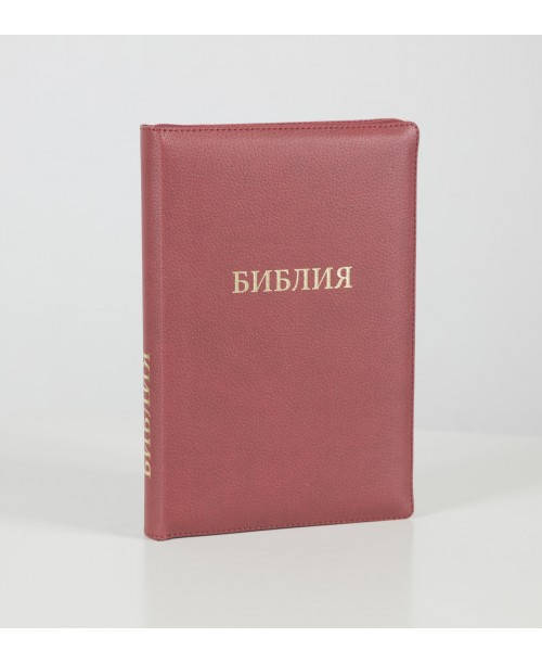 

Библия 075 (Индексы, замок) синод. перевод