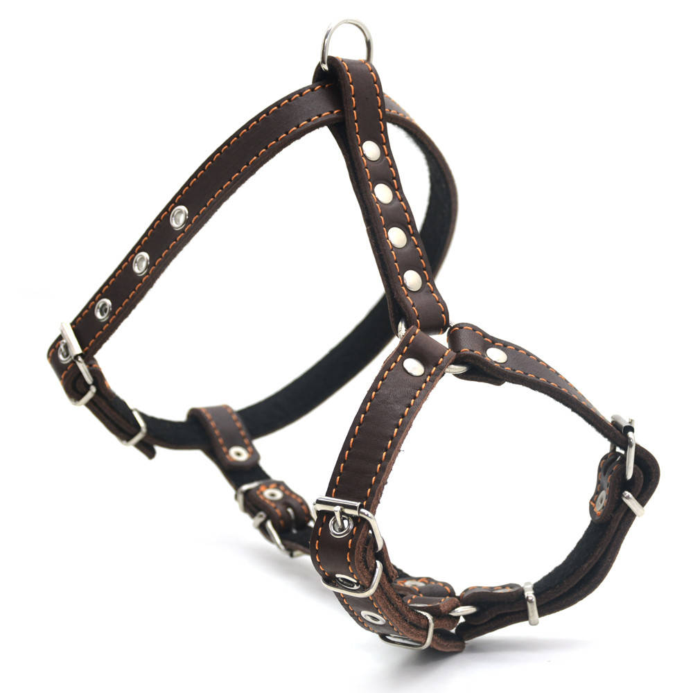 

Шлея для собаки Пудель коричневая, Коричневый