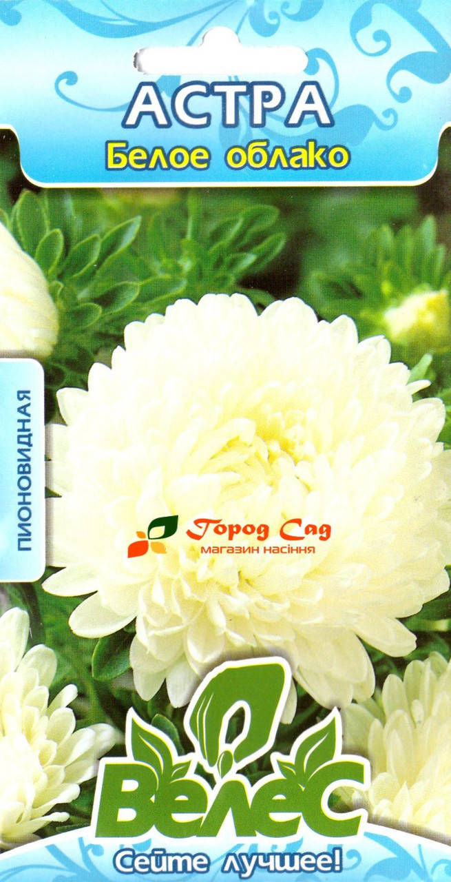 

Семена астры Белое облако ТМ ВЕЛЕС