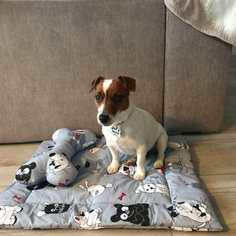 

Матрасик 50*60 см серая собака